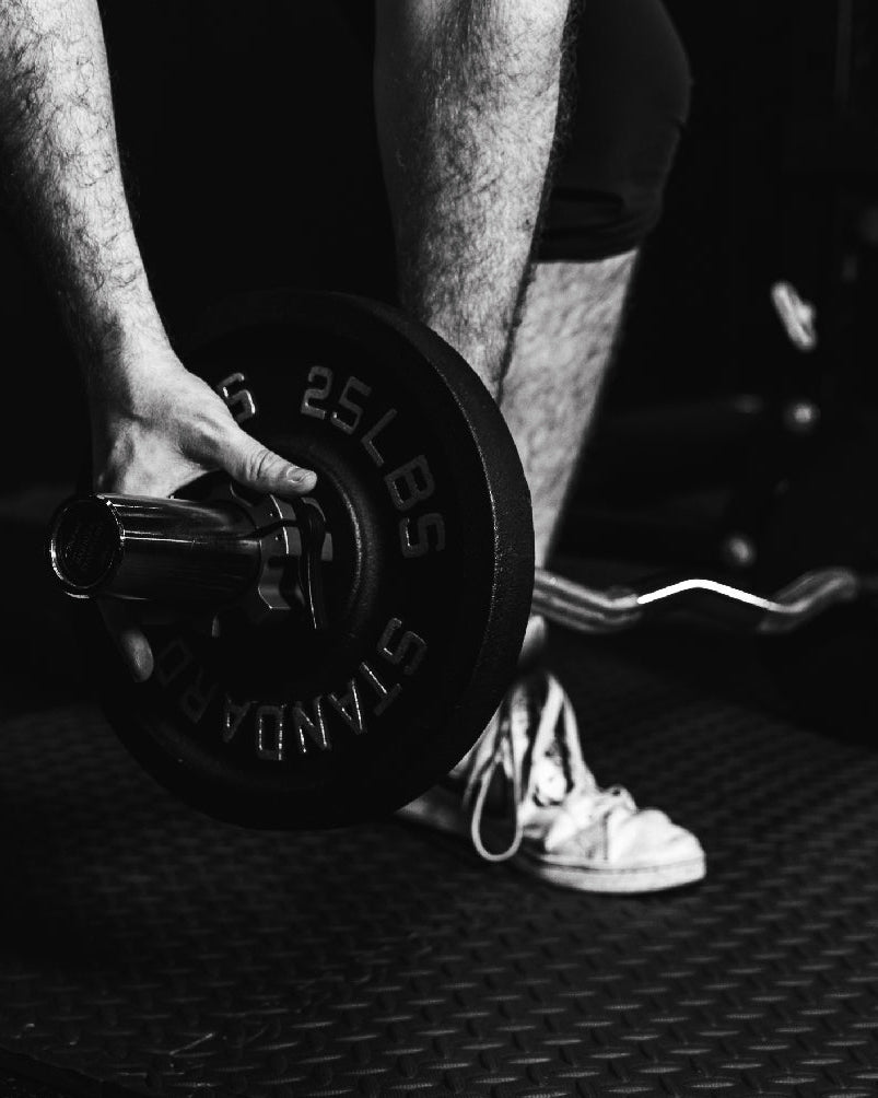 Barbell Standard EZ Curl Bar