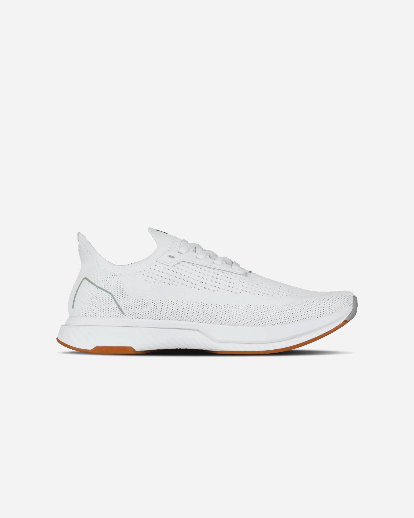 White / Gum RN