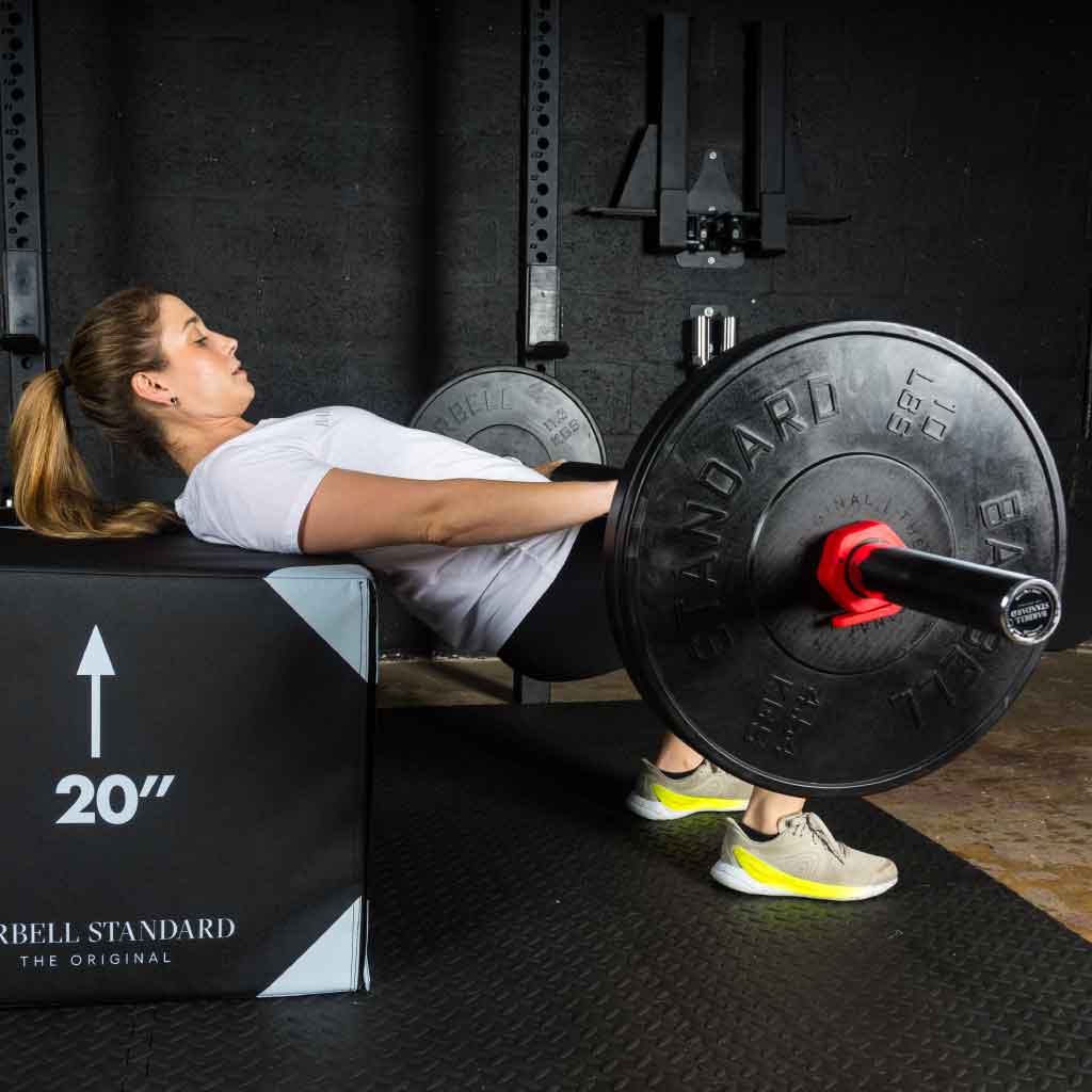 Standard Barbell Shorty Barbell