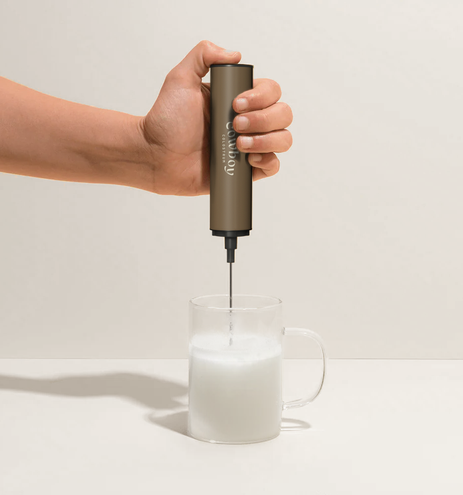 Double Whisk Frother
