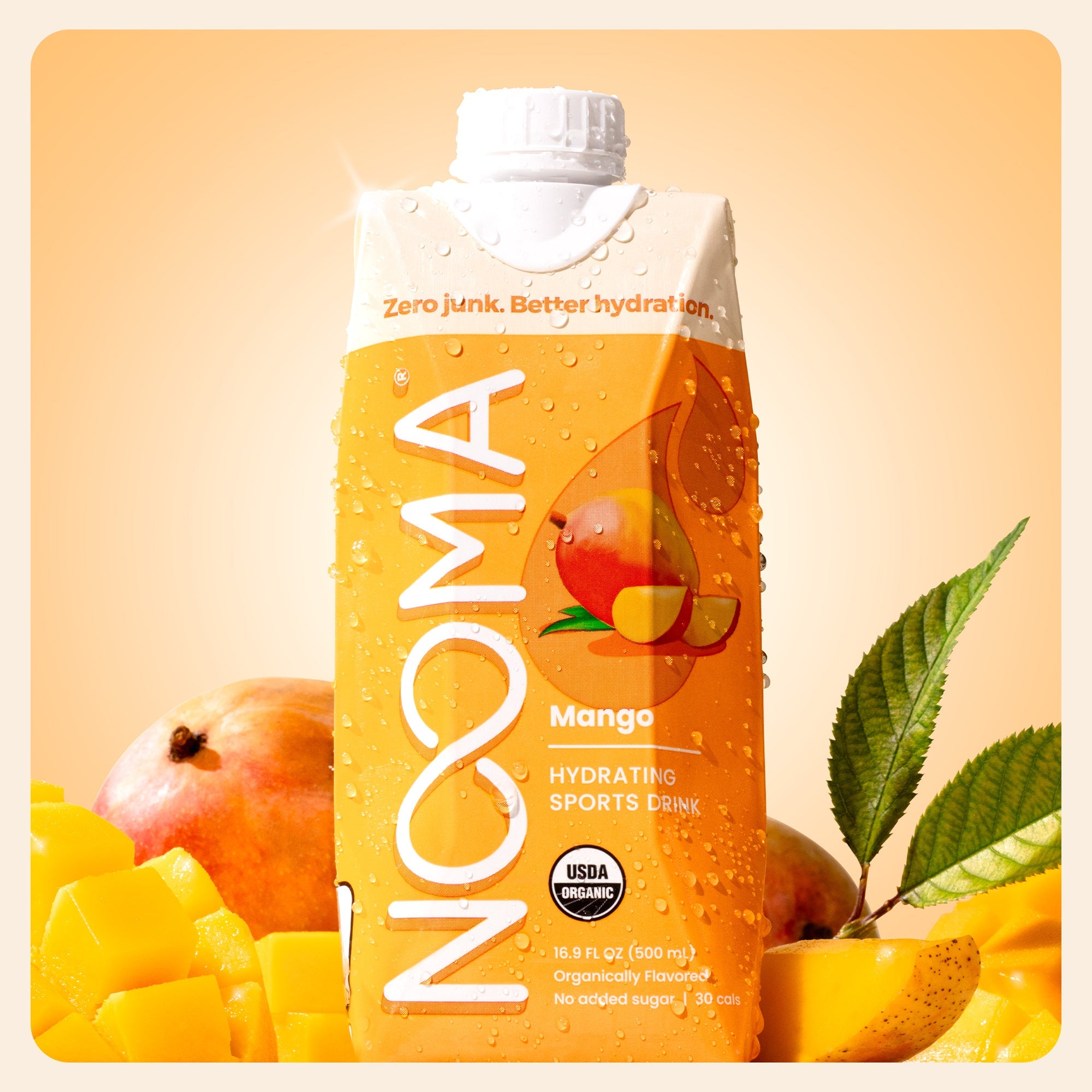 Nooma Hydration Mango