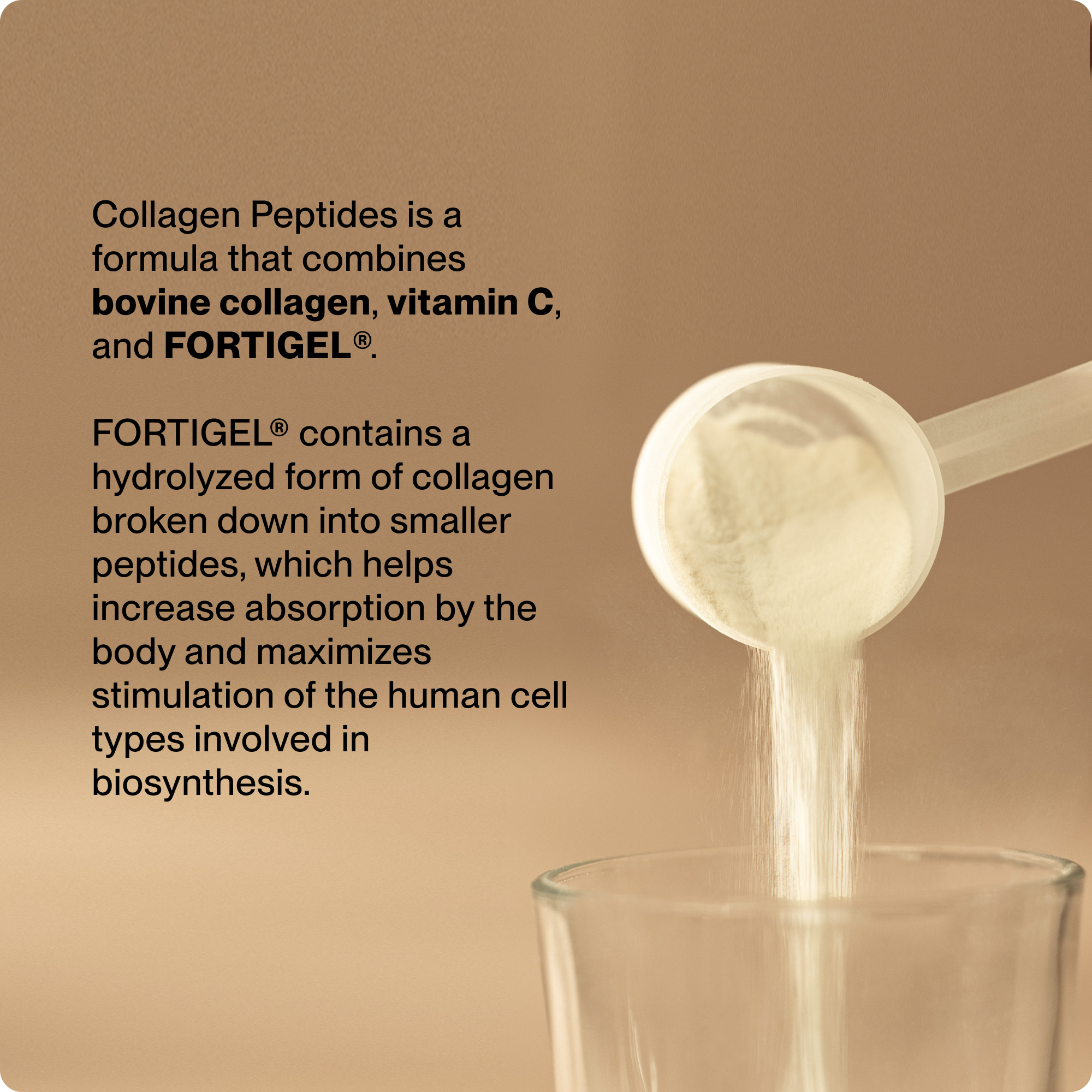 Momentous Collagen Peptides