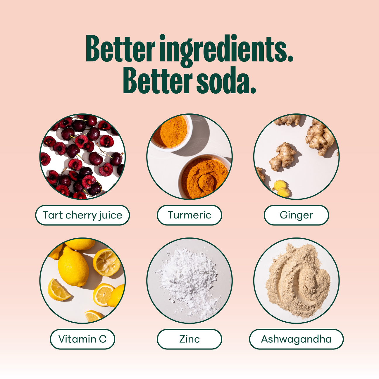 Nooma Wellness Soda Fruit Punch