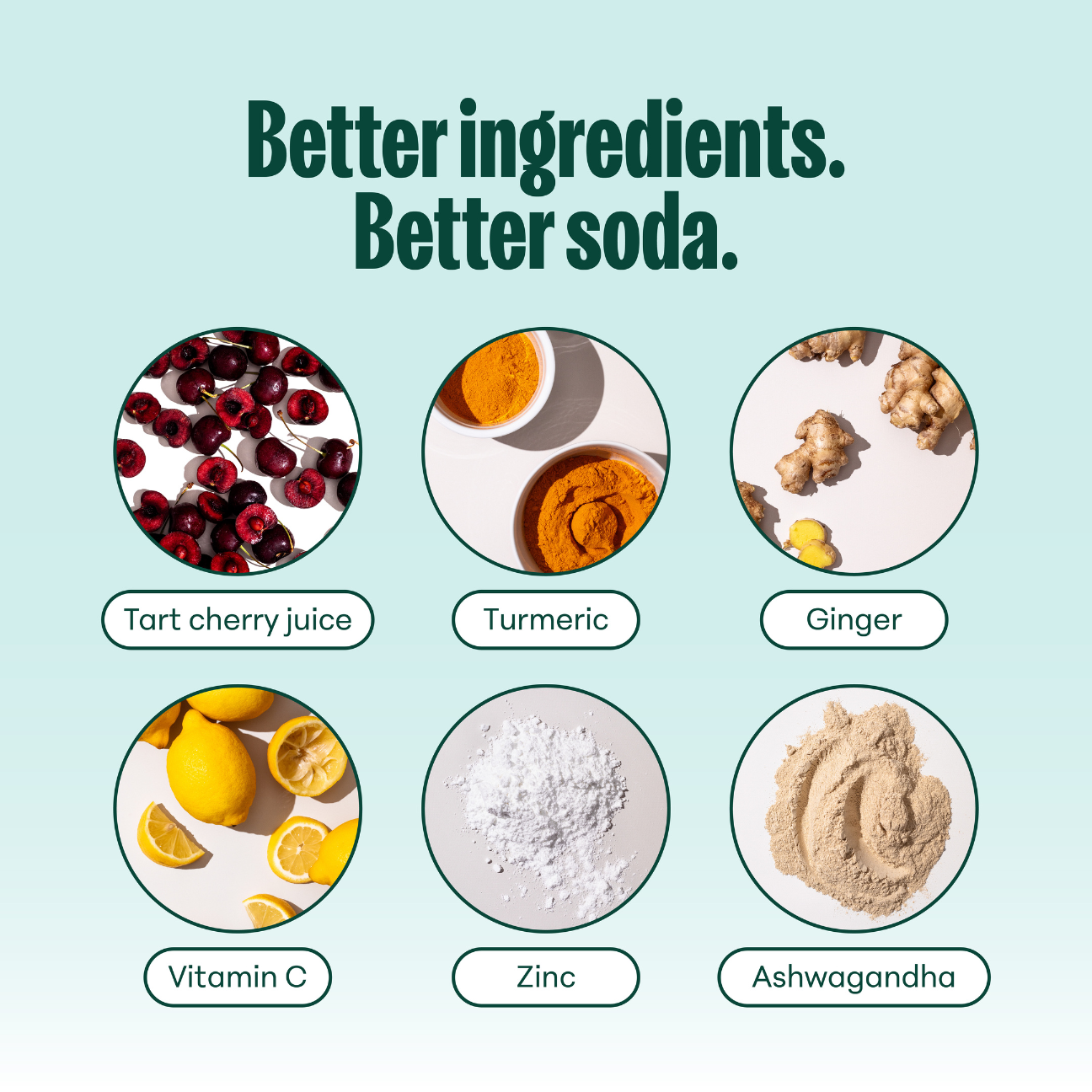 Nooma Wellness Sodas Variety Pack