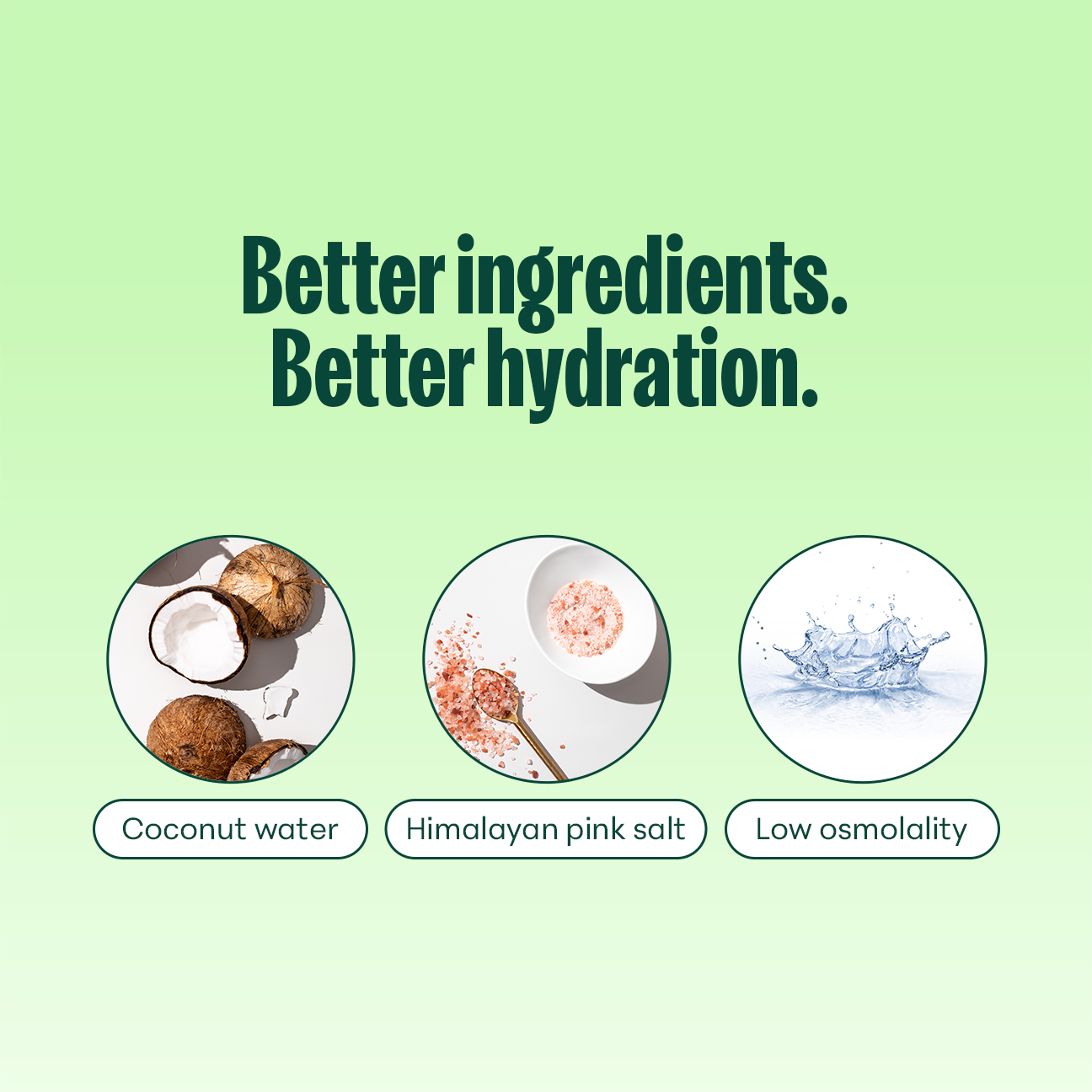 Nooma Hydration Chocolate Mint