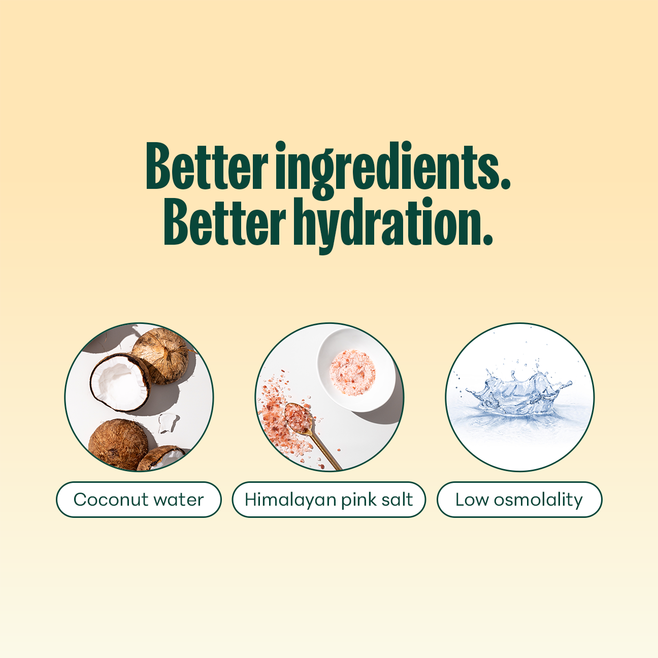 Nooma Hydration Lemonade