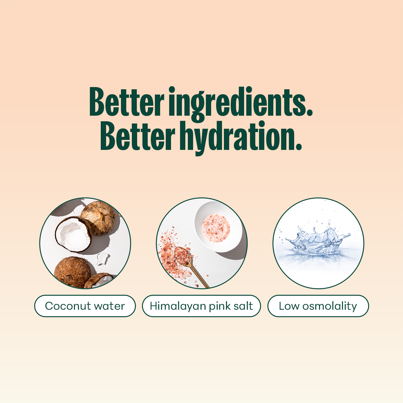 Nooma Hydration Mango