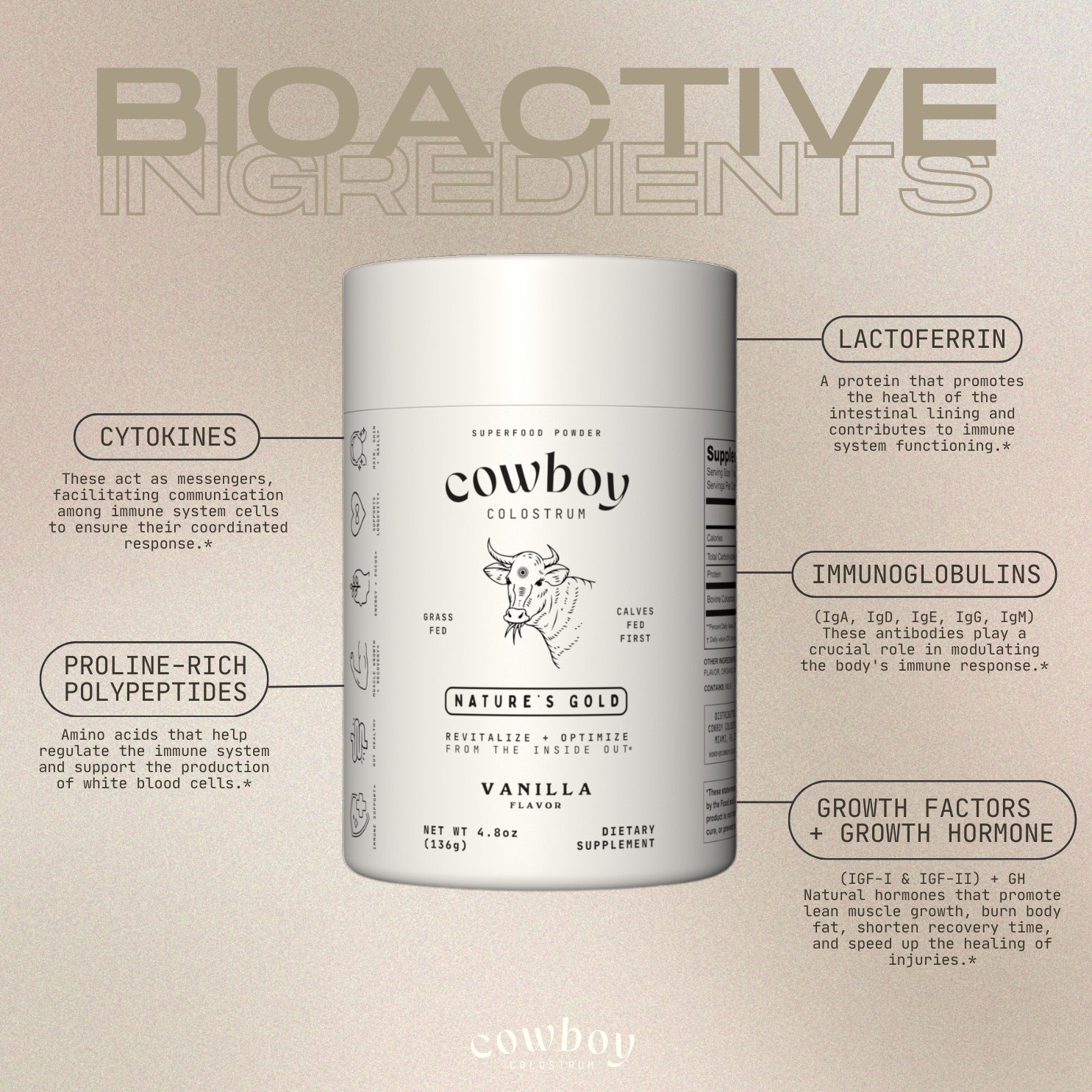 Cowboy Starter Kit: Vanilla